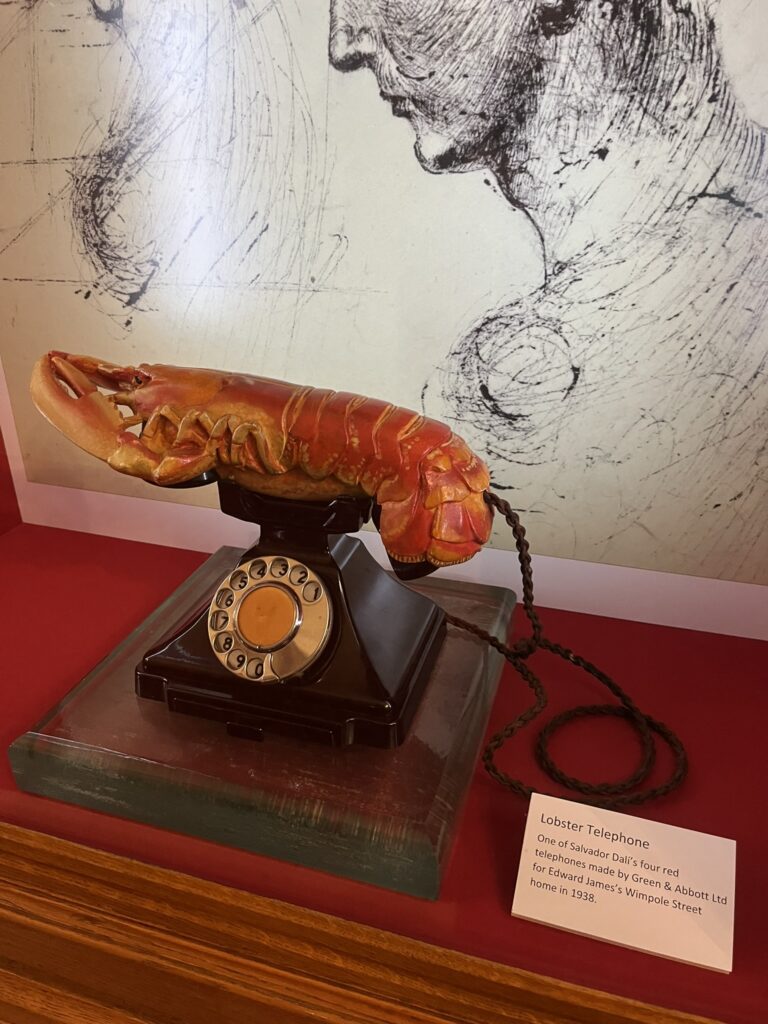 Expecting the Unexpected Weaving Krokbragd at West Dean.